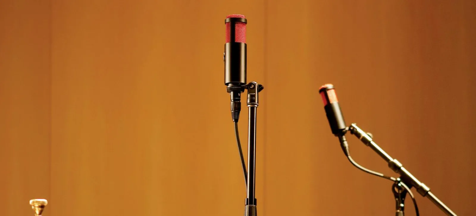 Store Shure KSM313/NE black