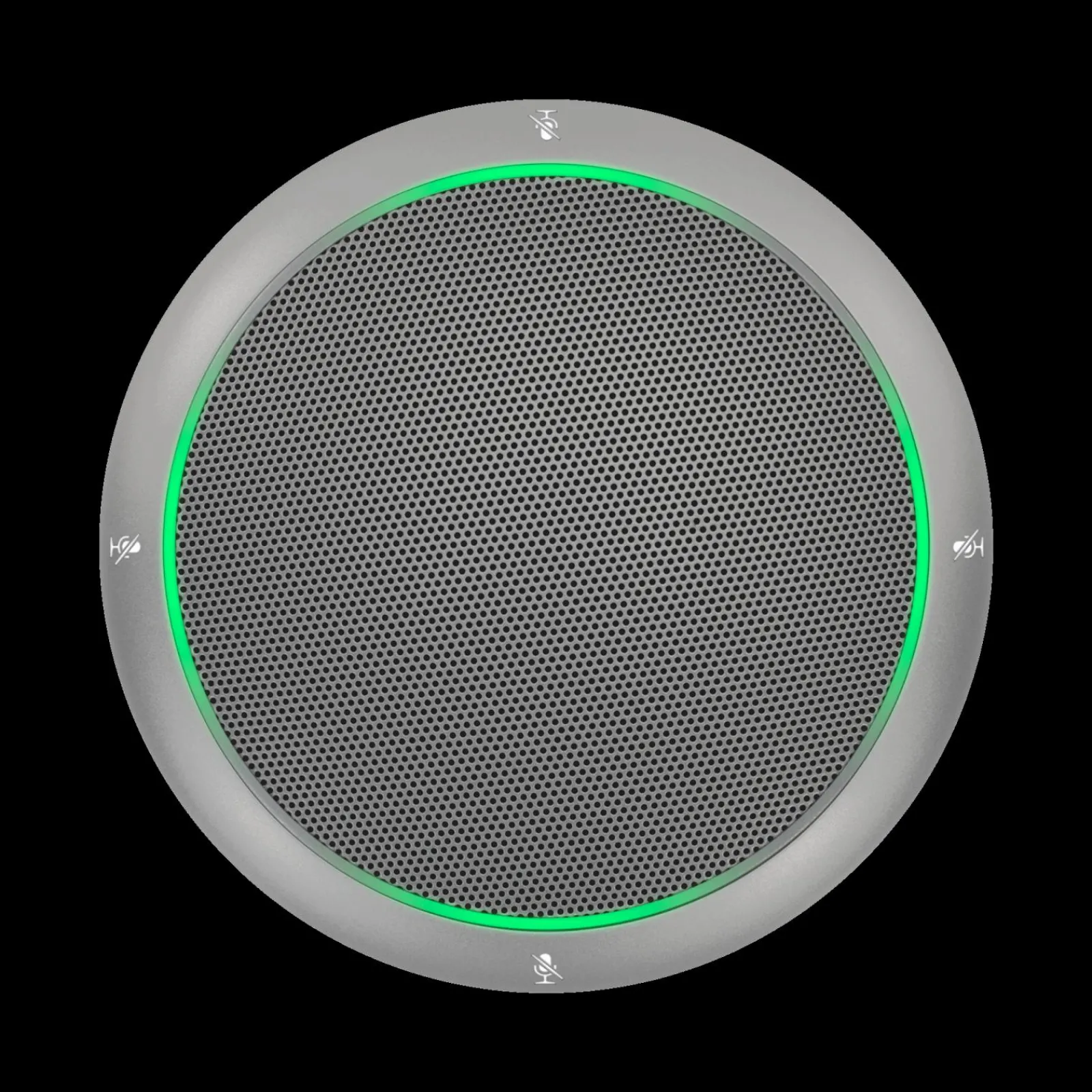 Online Shure MXA310