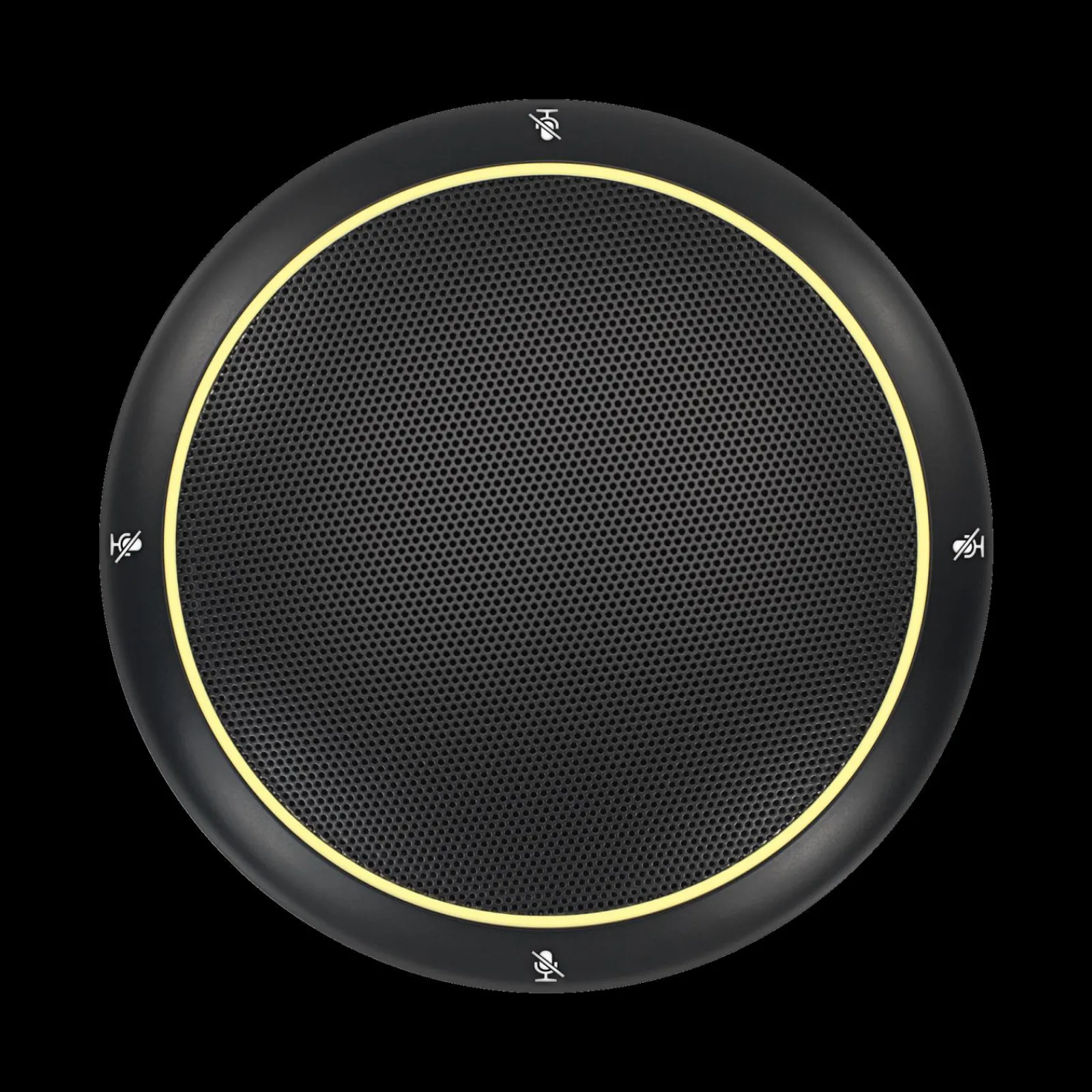 Online Shure MXA310